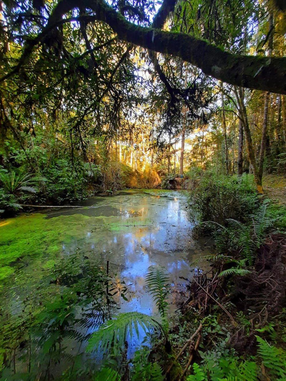 Recanto Paraiso Aventuras Rio Negrinho Dış mekan fotoğraf